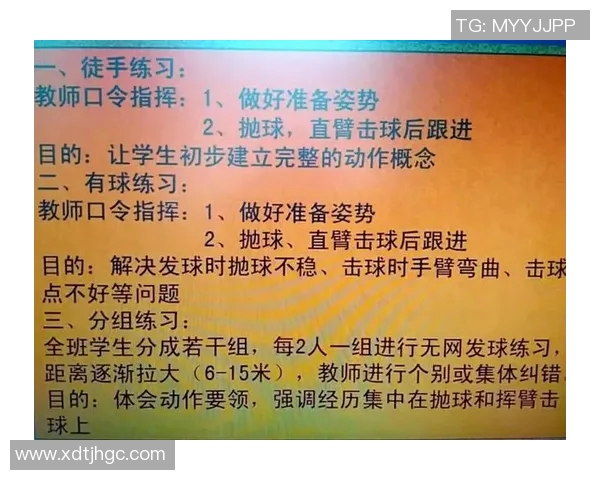 西安排球队战术解析与排球技战术的深度探讨